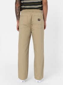 Брюки повседневные Dickies Mount Vista модель DK0A4Y22KHK1 Фото