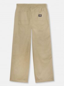 Брюки повседневные Dickies Mount Vista модель DK0A4Y22KHK1 Фото