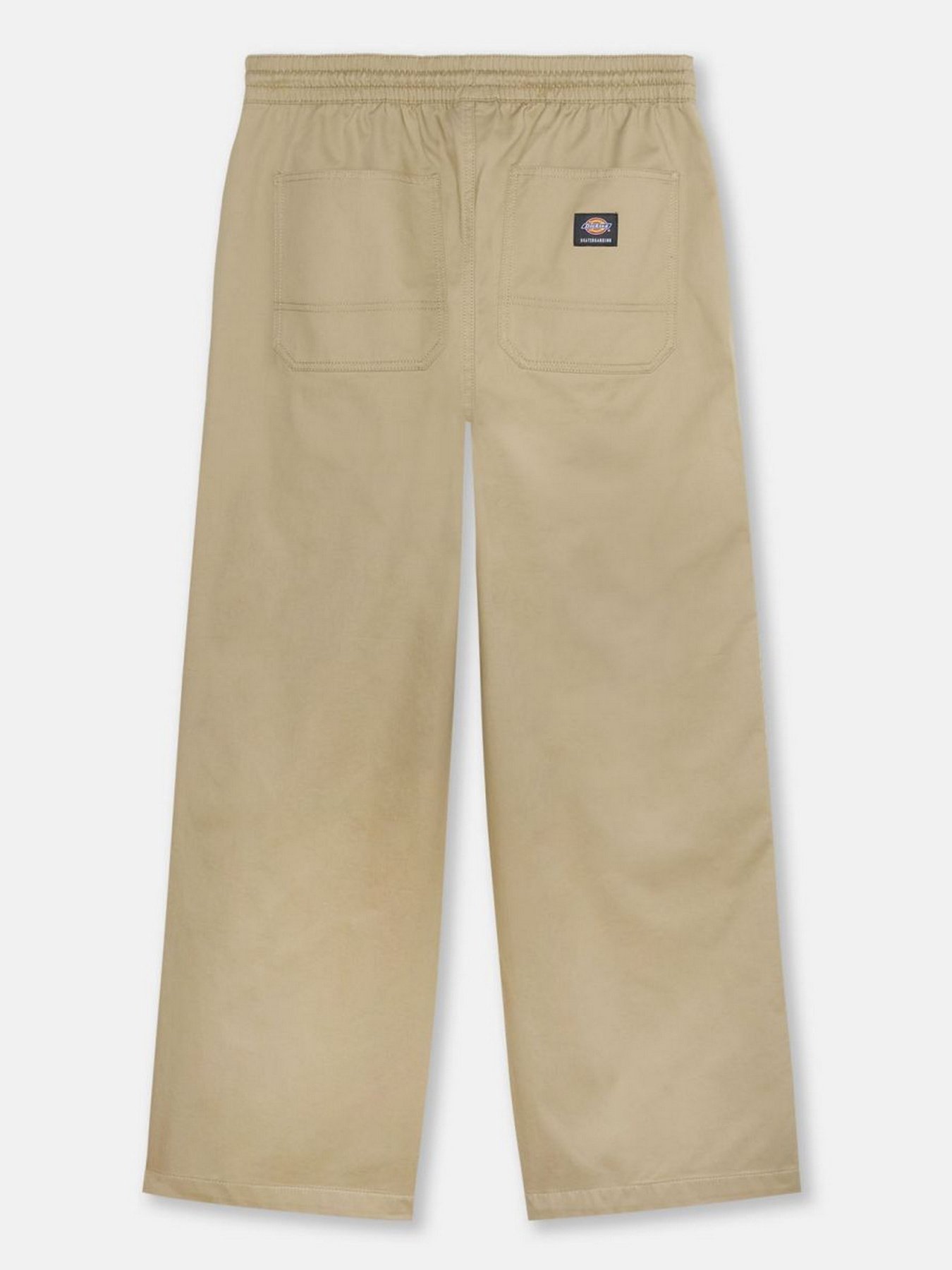 Повседневные штаны Dickies Mount Vista модель DK0A4Y22KHK1 Повседневные штаны Dickies Mount Vista модель DK0A4Y22KHK1 Фото