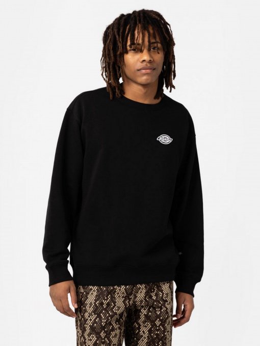 Свитшот Dickies Holtville модель DK0A4Y3BBLK1 Фото