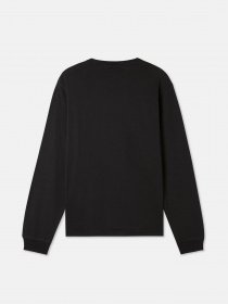 Лонгслив Dickies LS Mapleton модель DK0A4Y4RBLK1 Фото