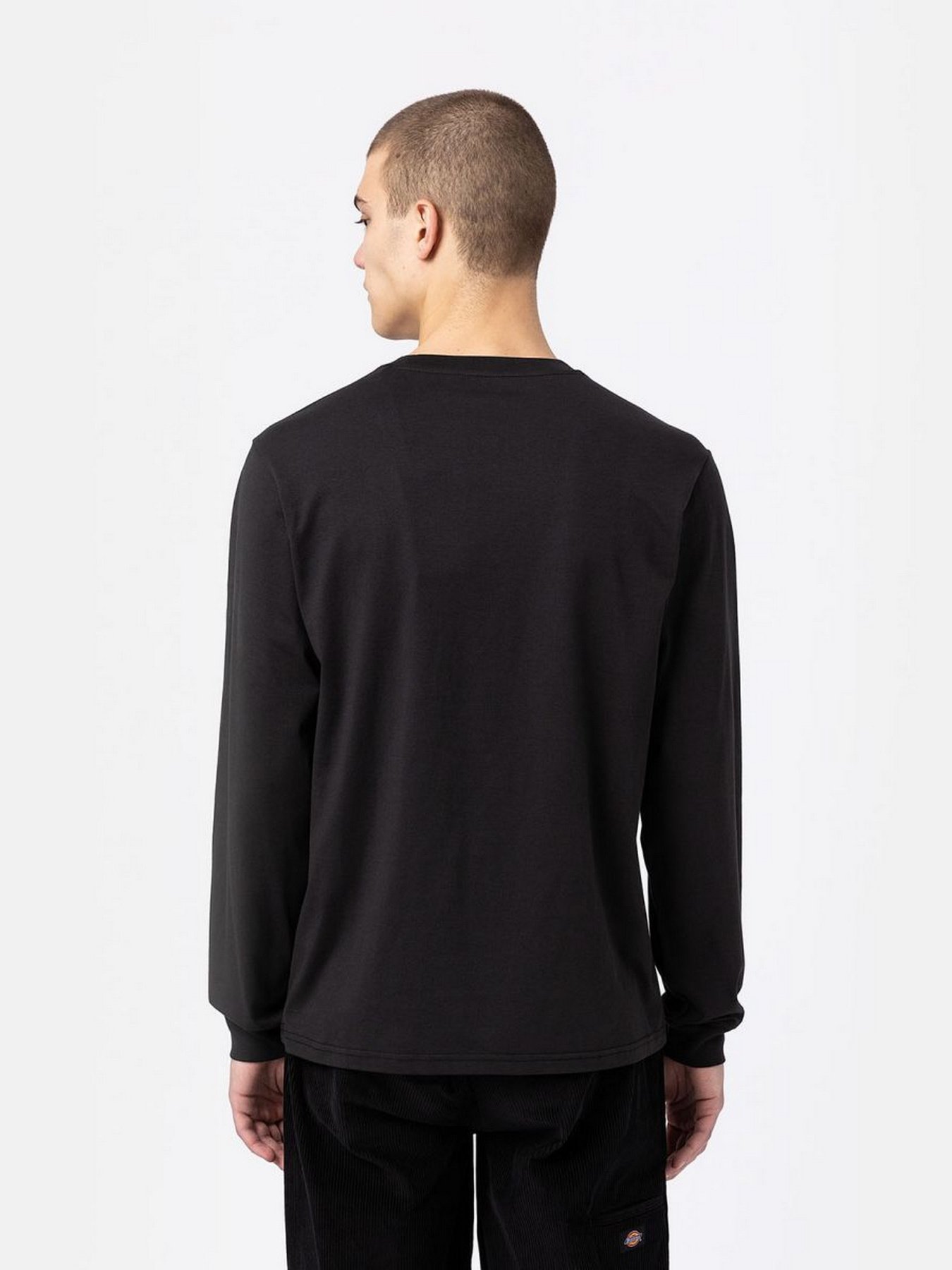 Худі та світшоти Dickies LS Mapleton модель DK0A4Y4RBLK1 Фото