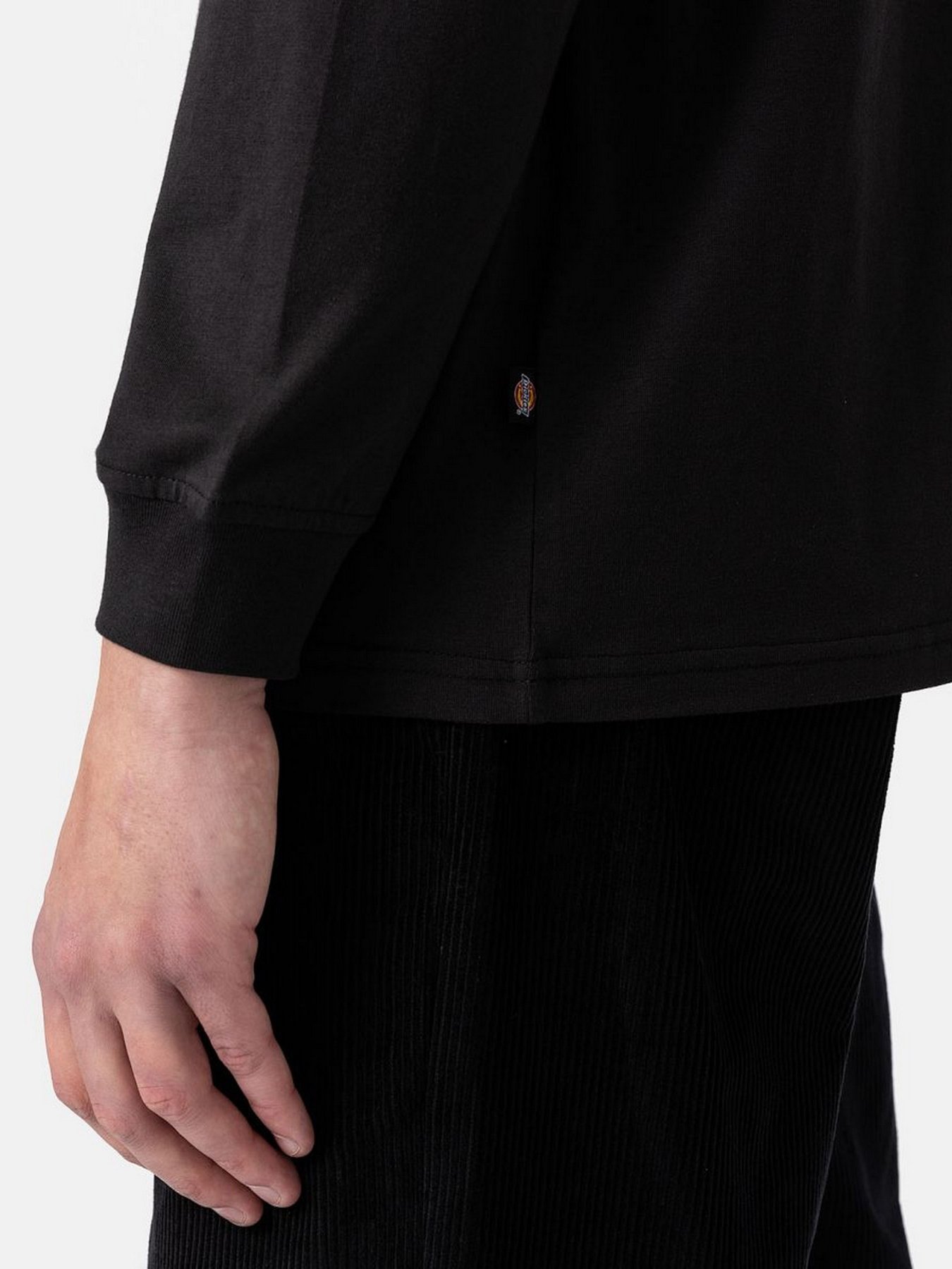 Худі та світшоти Dickies LS Mapleton модель DK0A4Y4RBLK1 Фото