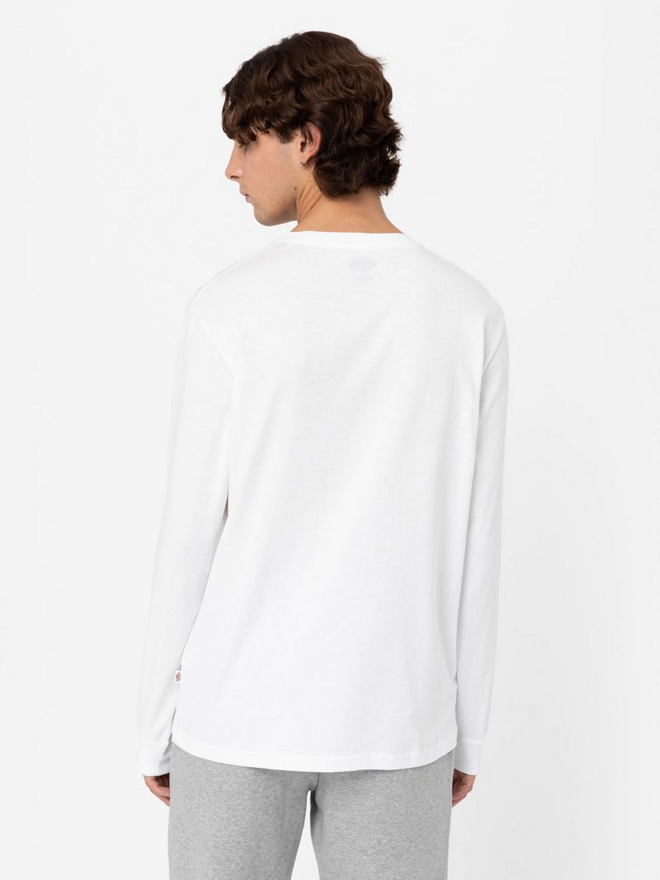 Лонгслив Dickies Mapleton модель DK0A4Y4RWHX1 Фото