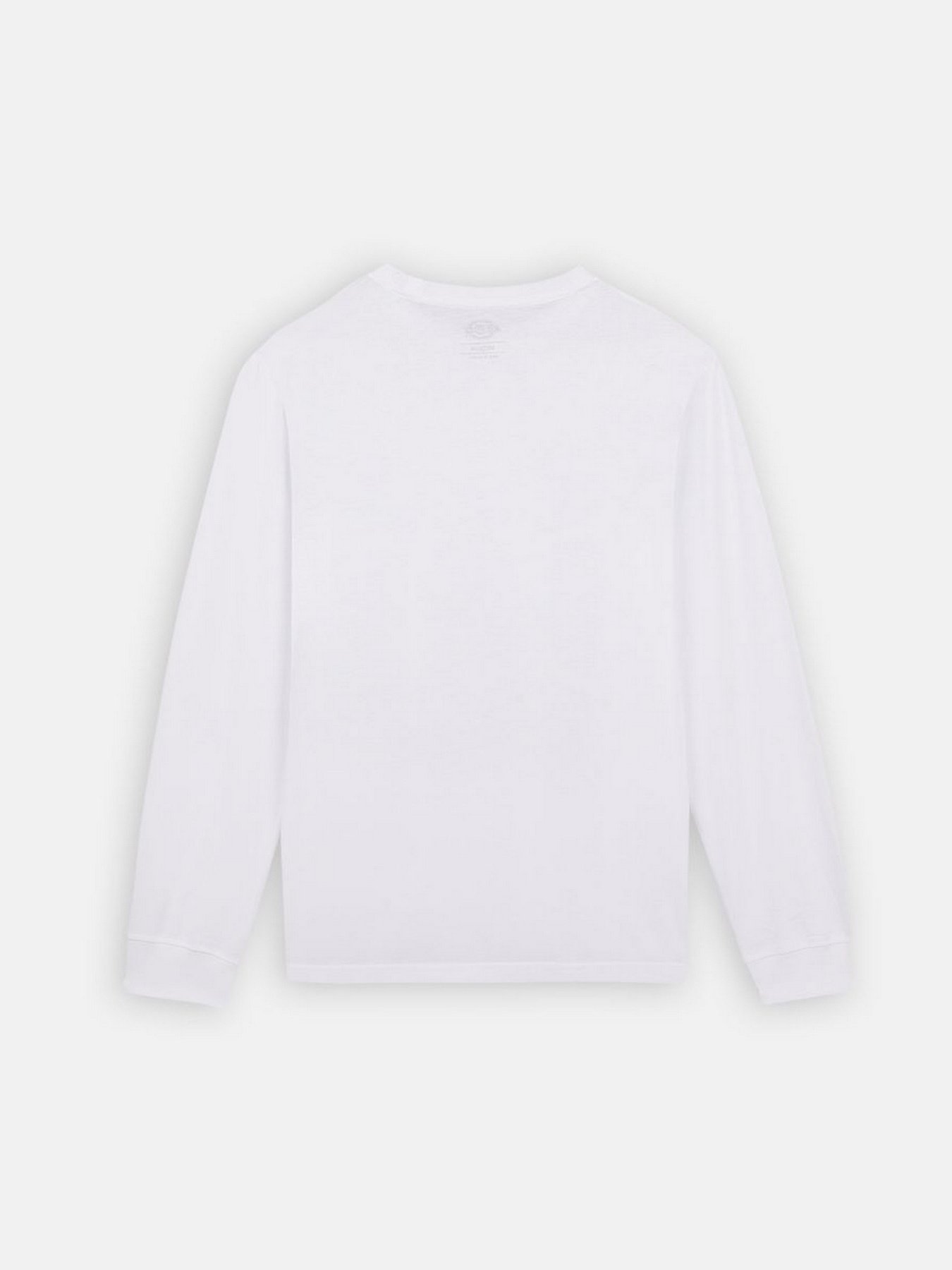 Лонгслив Dickies Mapleton модель DK0A4Y4RWHX1 Фото