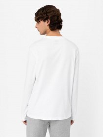 Лонгслив Dickies Mapleton модель DK0A4Y4RWHX1 Фото