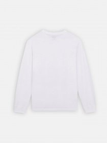 Лонгслив Dickies Mapleton модель DK0A4Y4RWHX1 Фото