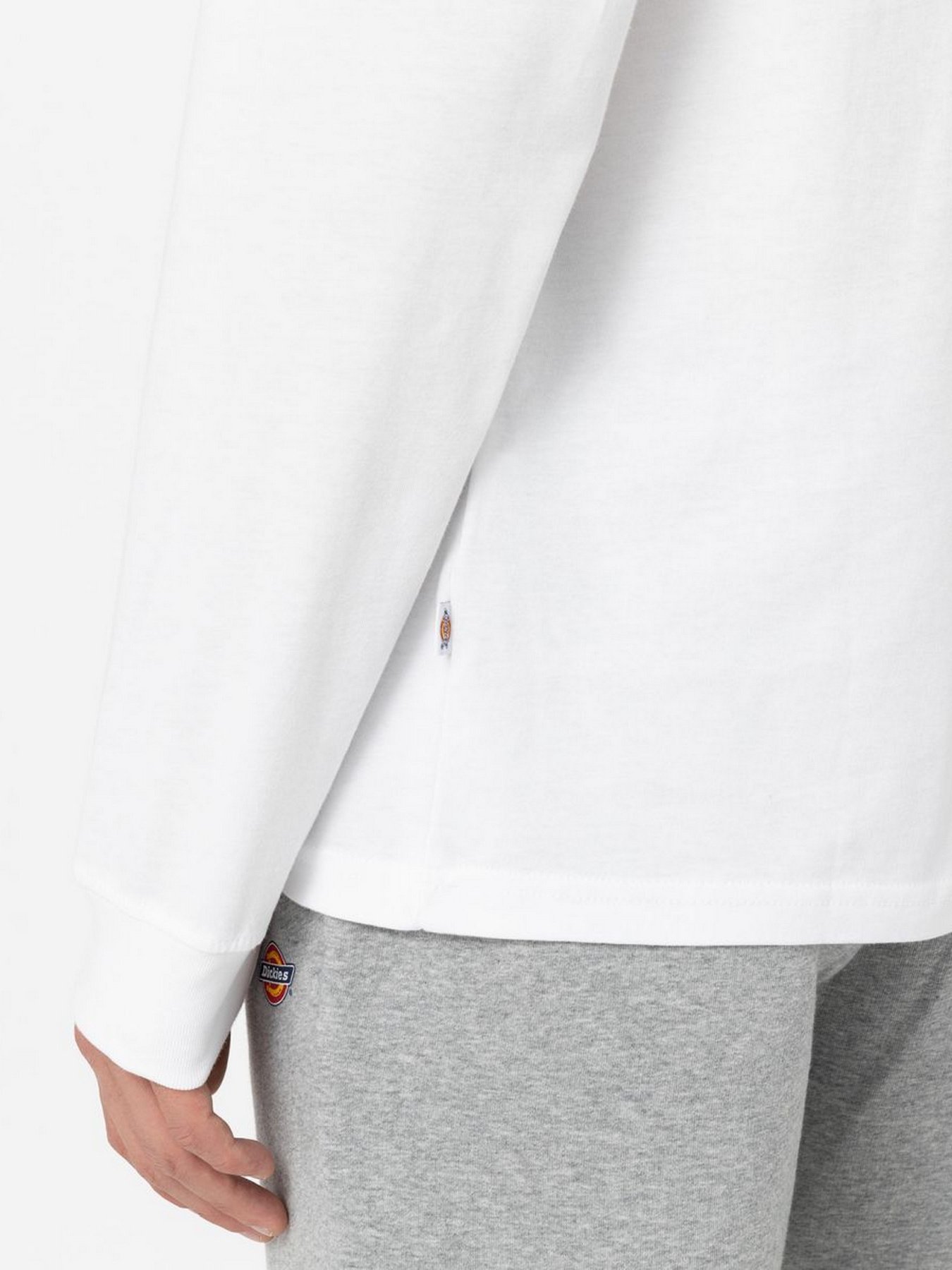 Лонгслив Dickies Mapleton модель DK0A4Y4RWHX1 Фото