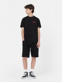 Шорты джинсовые Dickies Wingville модель DK0A4Y7WBLK1 Фото