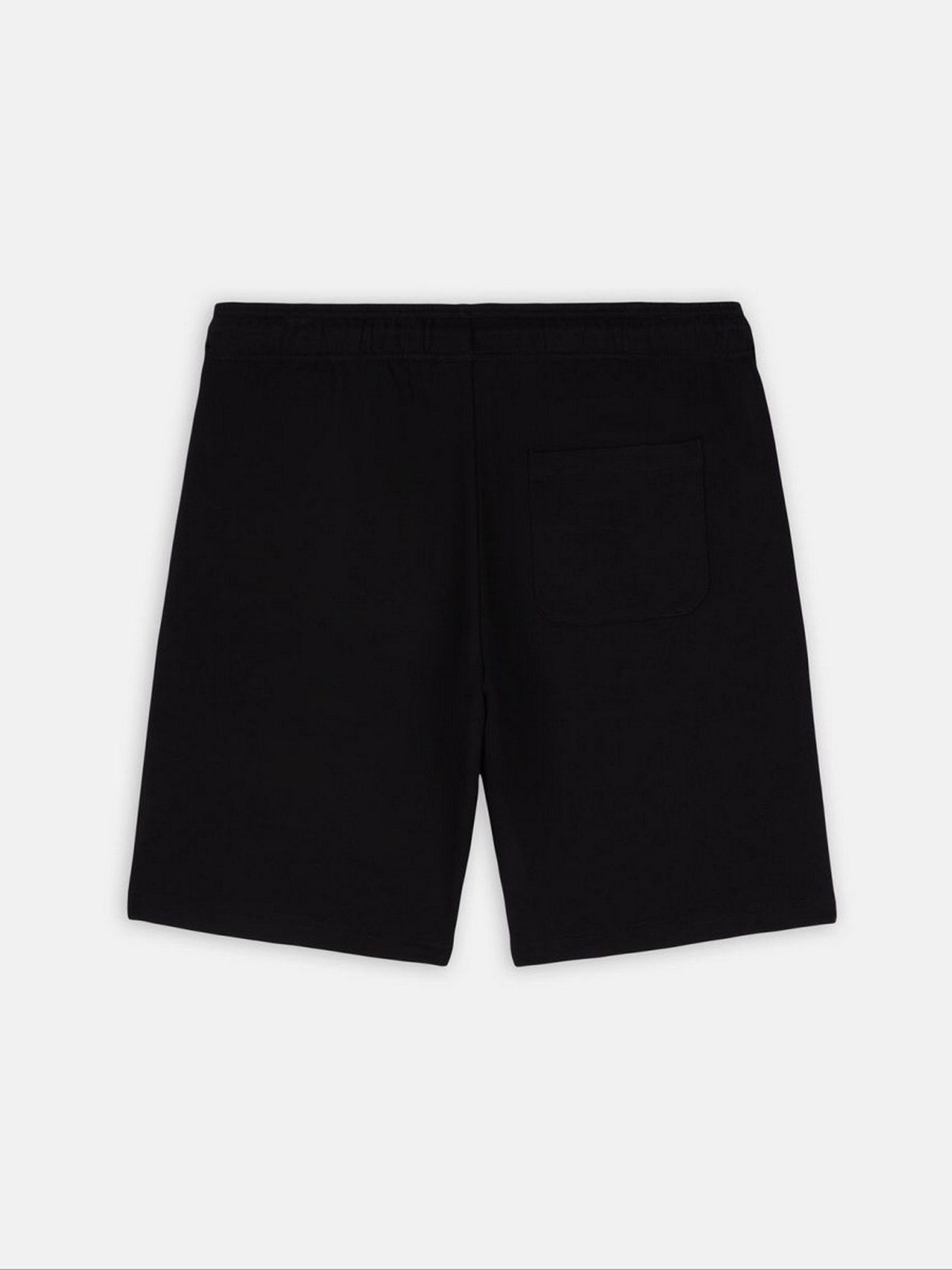 Шорты Dickies Mapleton модель DK0A4Y83BLK1 Фото