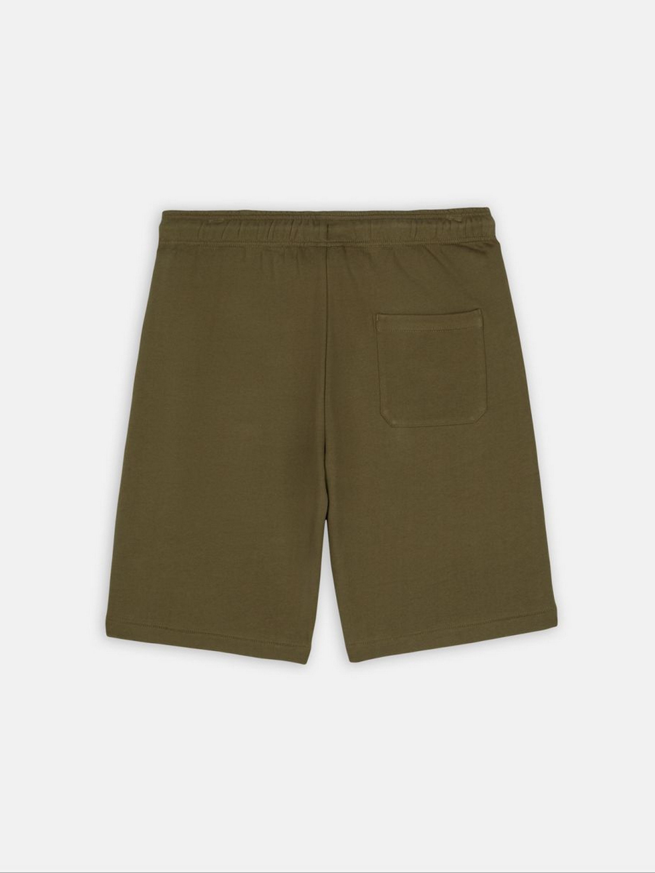 Повсякденні шорти Dickies Mapleton модель DK0A4Y83MGR1 Повсякденні шорти Dickies Mapleton модель DK0A4Y83MGR1 Фото