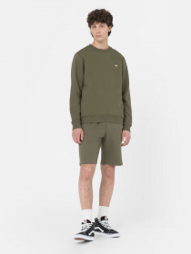 Повсякденні шорти Dickies Mapleton модель DK0A4Y83MGR1 Повсякденні шорти Dickies Mapleton модель DK0A4Y83MGR1 Фото