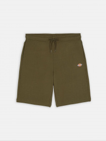 Повсякденні шорти Dickies Mapleton модель DK0A4Y83MGR1 Повсякденні шорти Dickies Mapleton модель DK0A4Y83MGR1 Фото