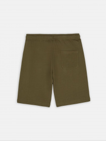 Повсякденні шорти Dickies Mapleton модель DK0A4Y83MGR1 Повсякденні шорти Dickies Mapleton модель DK0A4Y83MGR1 Фото