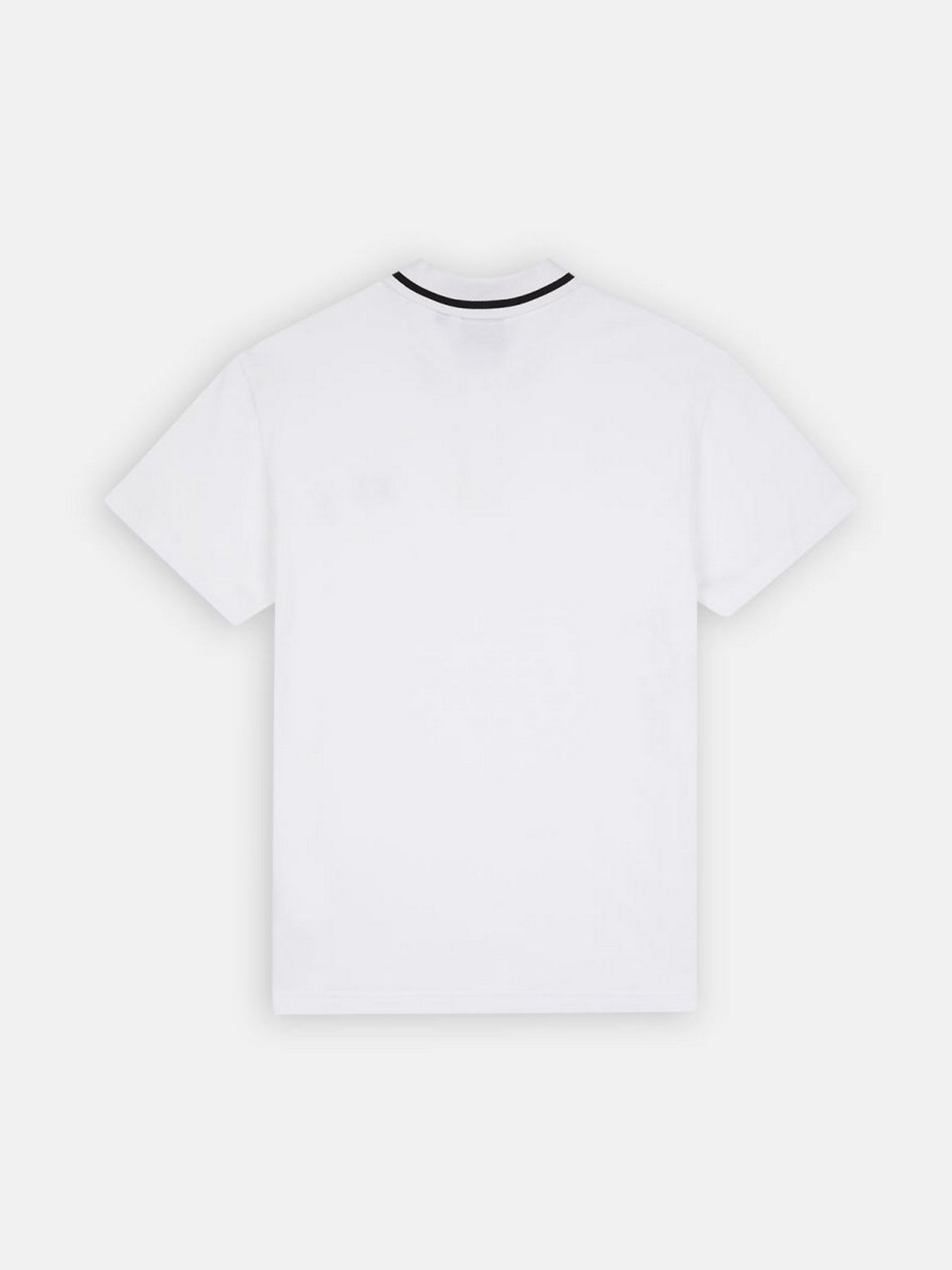 Поло Dickies Tallasee модель DK0A4Y8PWHX1 Фото