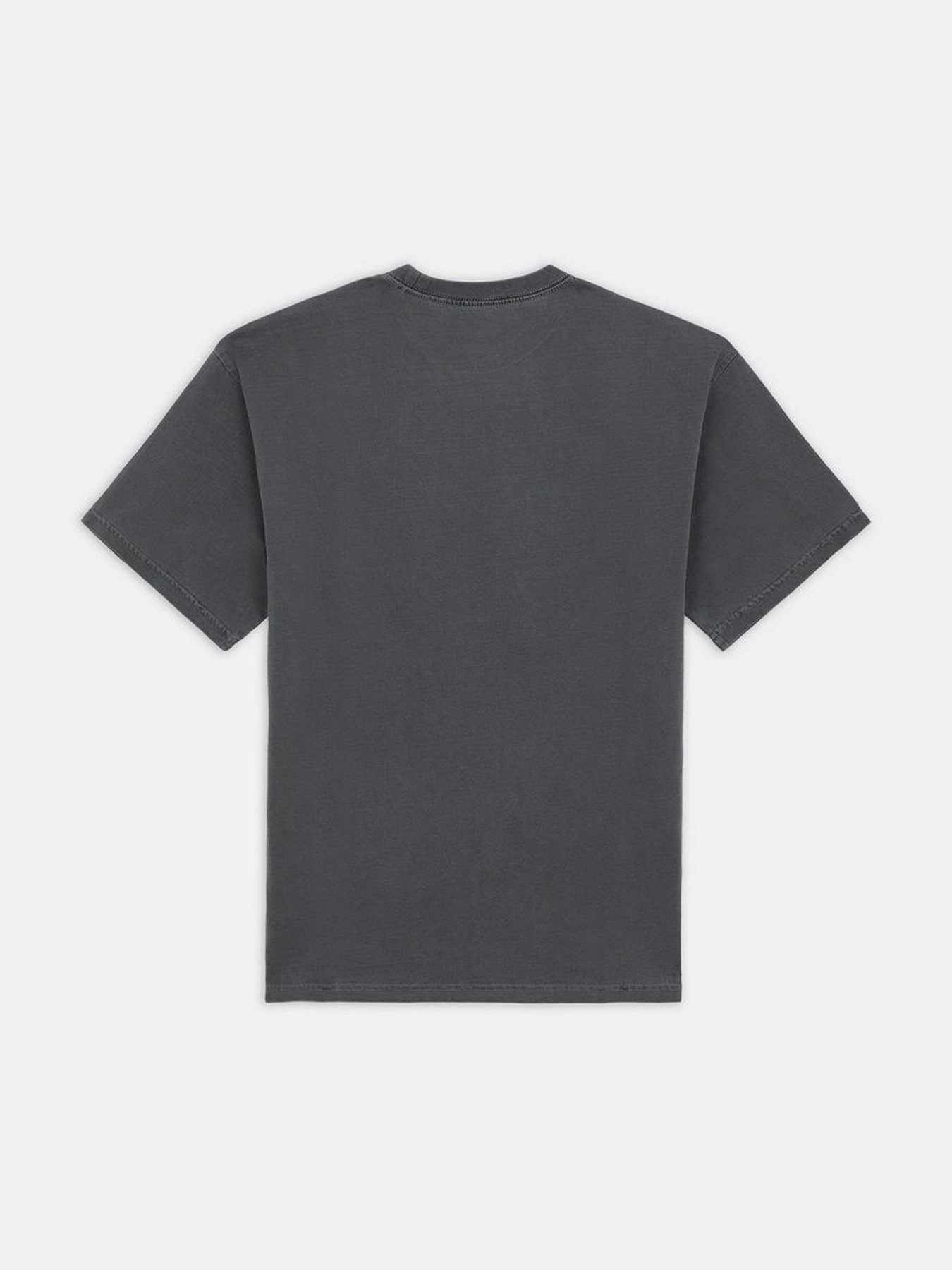 Футболка Dickies Bandon модель DK0A4Y92BLK1 Фото