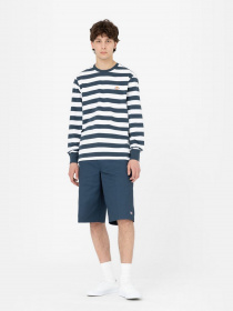 Лонгслив Dickies Rivergrove модель DK0A4YFYAF01 Фото