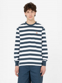 Лонгслив Dickies Rivergrove модель DK0A4YFYAF01 Фото