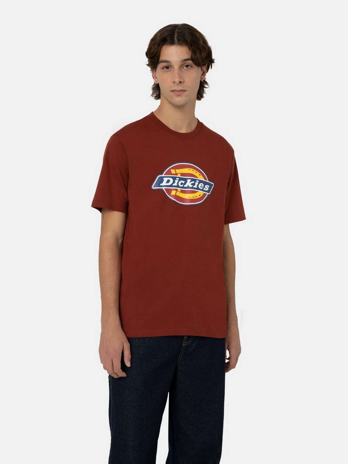 Футболка Dickies Icon Logo модель DK0A4XC9G041 Фото