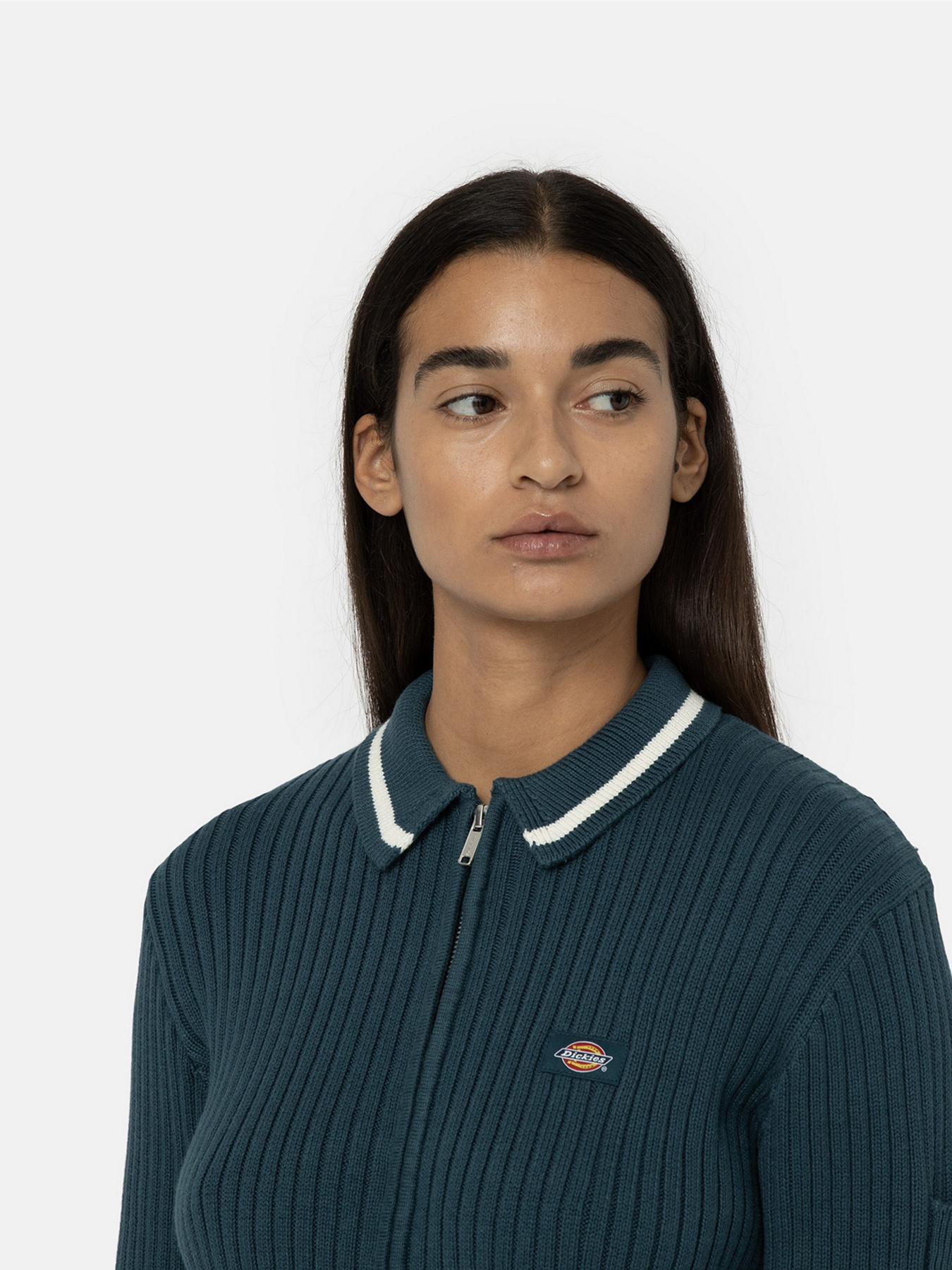 Кофта Dickies Elkhart Zip модель DK0A4YMGF971 Фото