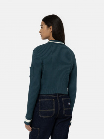 Кофта Dickies Elkhart Zip модель DK0A4YMGF971 Фото