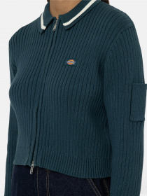 Кофта Dickies Elkhart Zip модель DK0A4YMGF971 Фото