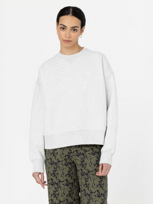 Свитшот Dickies Summerdale модель DK0A4XYXA281 Фото