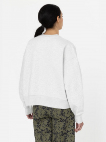 Свитшот Dickies Summerdale модель DK0A4XYXA281 Фото