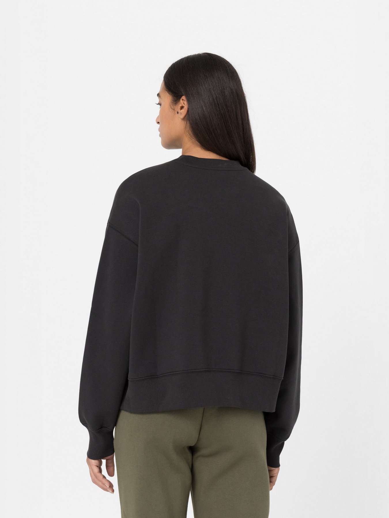 Світшот Dickies Summerdale модель DK0A4XYXBLK1 Фото