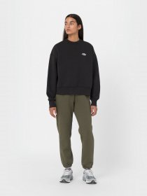 Світшот Dickies Summerdale модель DK0A4XYXBLK1 Фото