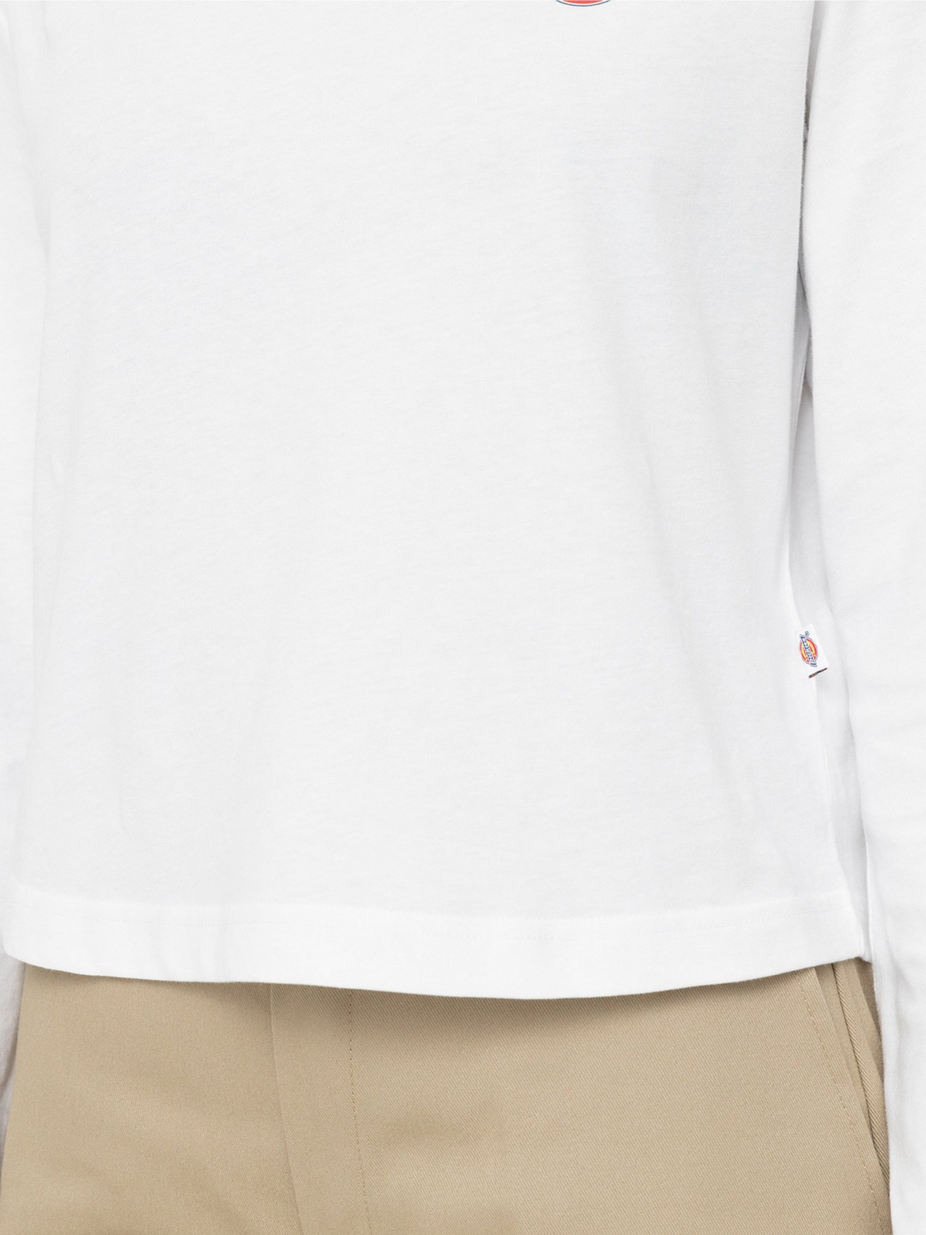 Лонгслив Dickies Mapleton High Neck модель DK0A4Y2JWHX1 Фото