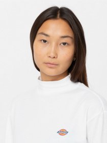 Лонгслив Dickies Mapleton High Neck модель DK0A4Y2JWHX1 Фото