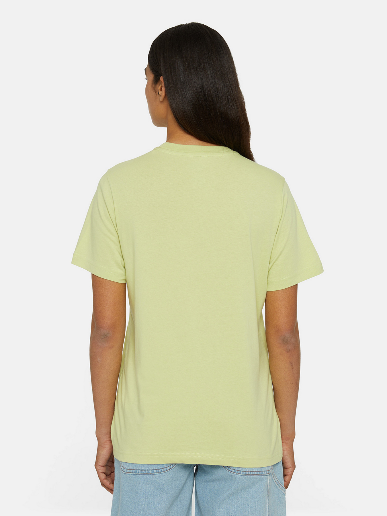 Футболка Dickies Mapleton модель DK0A4XDAH141 Фото