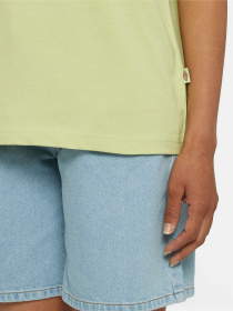 Футболка Dickies Mapleton модель DK0A4XDAH141 Фото