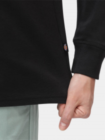 Лонгслив Dickies Ls Mapleton модель DK0A4XITBLK1 Фото