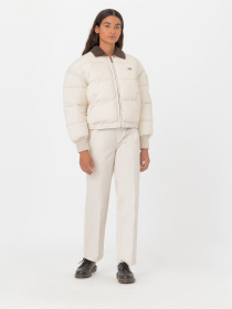 Штани повсякденні Dickies Elizaville Rec модель DK0A4XKBF901 Фото