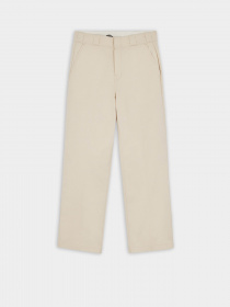 Штани повсякденні Dickies Elizaville Rec модель DK0A4XKBF901 Фото