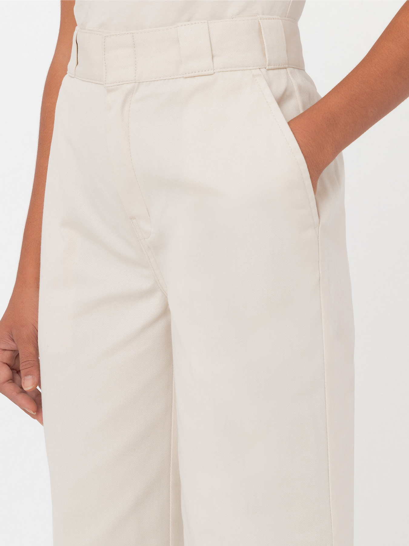 Повседневные штаны Dickies Elizaville Rec модель DK0A4XKBF901 Повседневные штаны Dickies Elizaville Rec модель DK0A4XKBF901 Фото