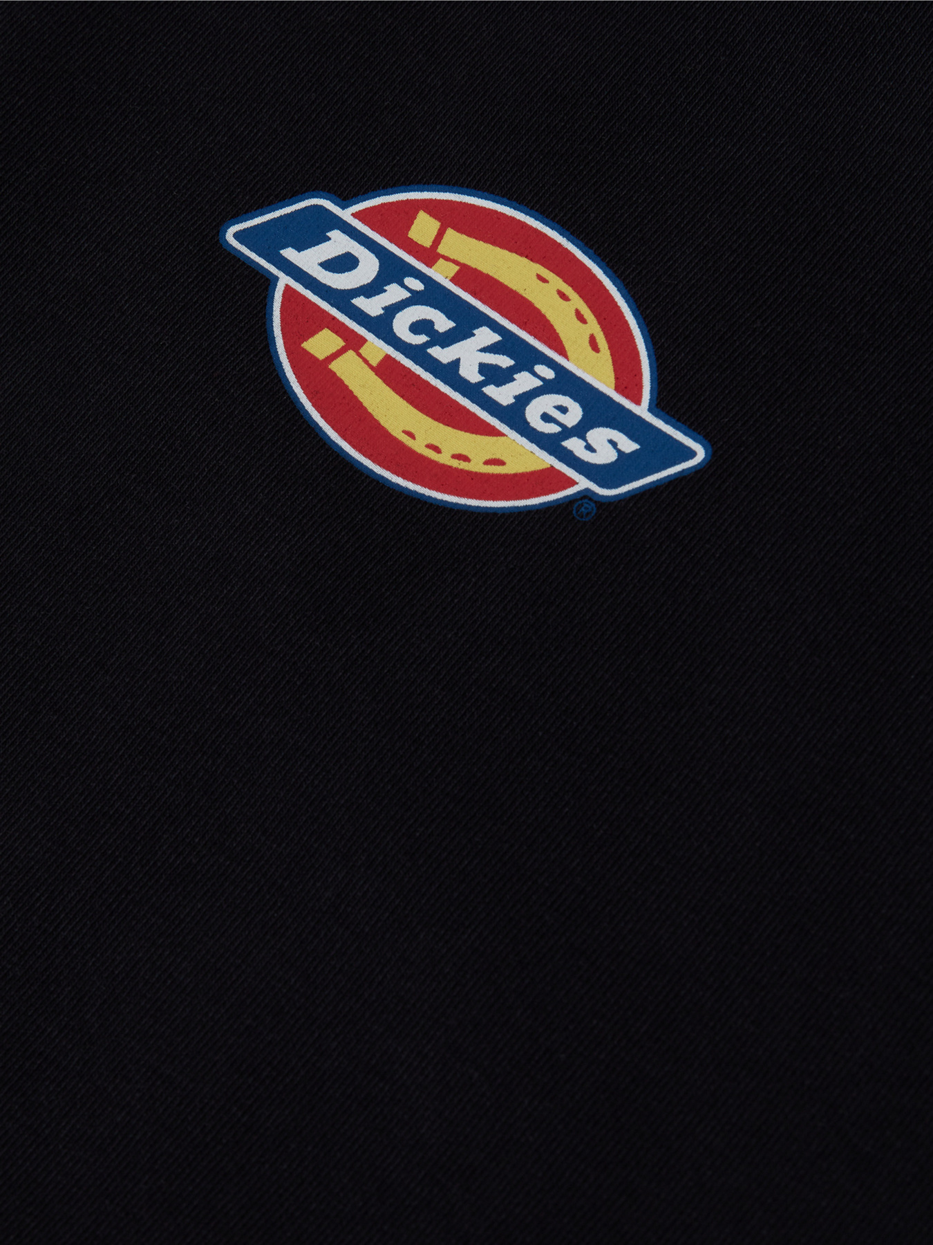 Платье мини Dickies Chain Lake модель DK0A4XMCBLK1 Фото