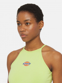 Сукня міні Dickies Chain Lake модель DK0A4XMCH141 Фото