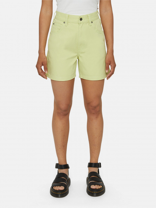 Джинсовые шорты Dickies Duck Canvas Carpenter модель DK0A4XRSH701 Фото