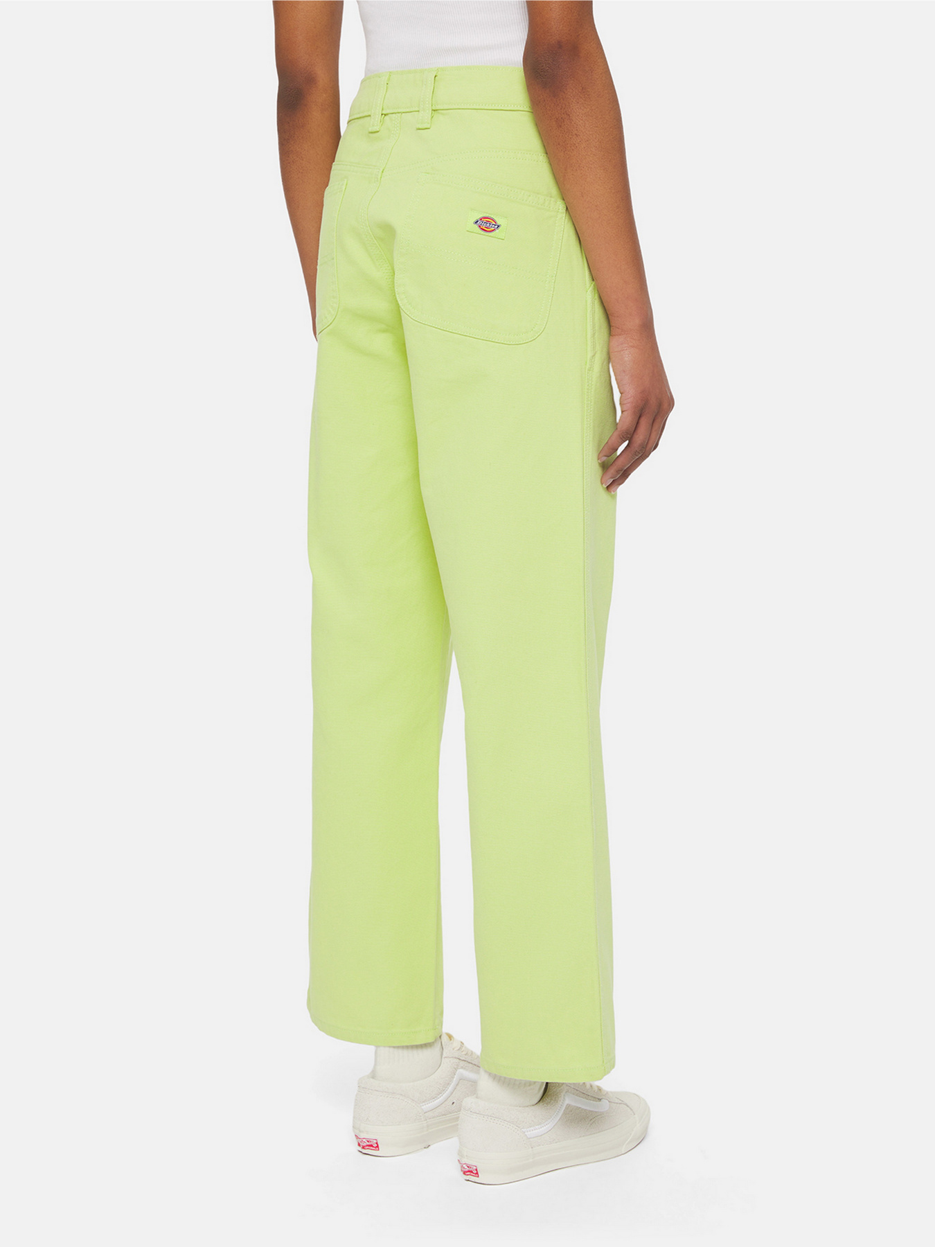 Брюки повседневные Dickies Duck Canvas модель DK0A4XZLH701 Фото