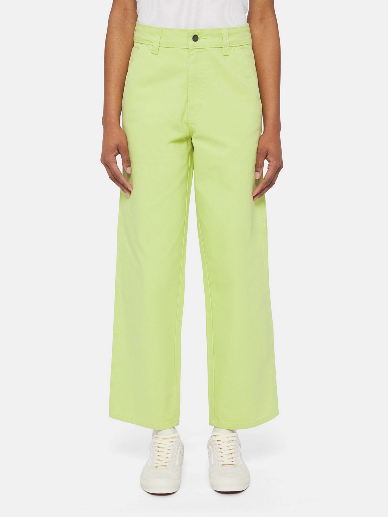 Брюки повседневные Dickies Duck Canvas модель DK0A4XZLH701 Фото