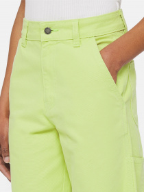 Брюки повседневные Dickies Duck Canvas модель DK0A4XZLH701 Фото