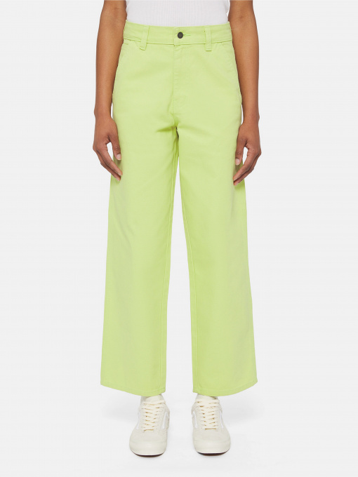 Брюки повседневные Dickies Duck Canvas модель DK0A4XZLH701 Фото