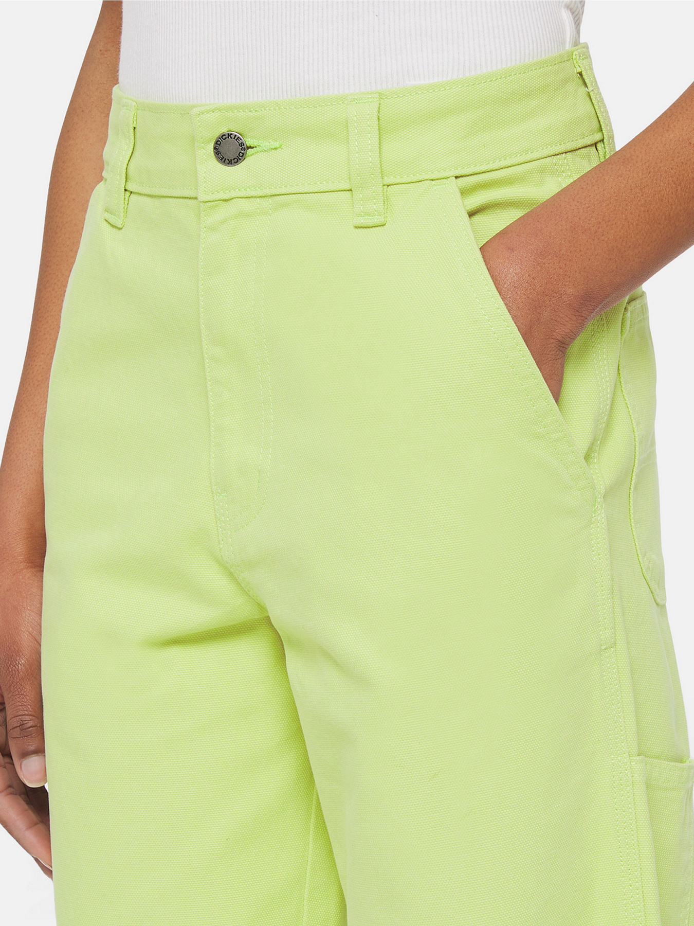 Повседневные штаны Dickies Duck Canvas модель DK0A4XZLH701 Фото