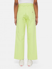 Повседневные штаны Dickies Duck Canvas модель DK0A4XZLH701 Фото