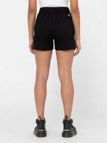 Шорти Dickies Vale Модель DK0A4Y84BLK1 Фото