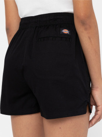 Повсякденні шорти Dickies Vale модель DK0A4Y84BLK1 Повсякденні шорти Dickies Vale модель DK0A4Y84BLK1 Фото