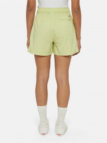 Шорти Dickies Vale модель DK0A4Y84H141 Фото